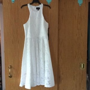 NWT Vera Wang Lace Midi Dress